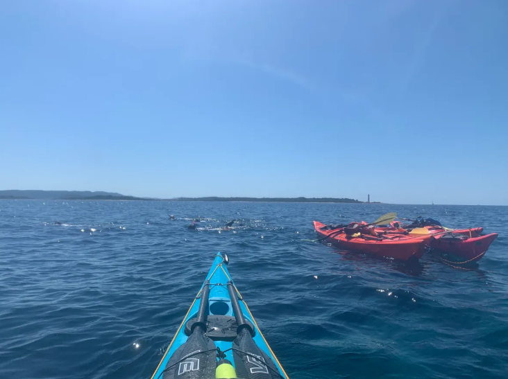 Paddle UK Sea Kayak Skills Development Week in Devon, photo 4