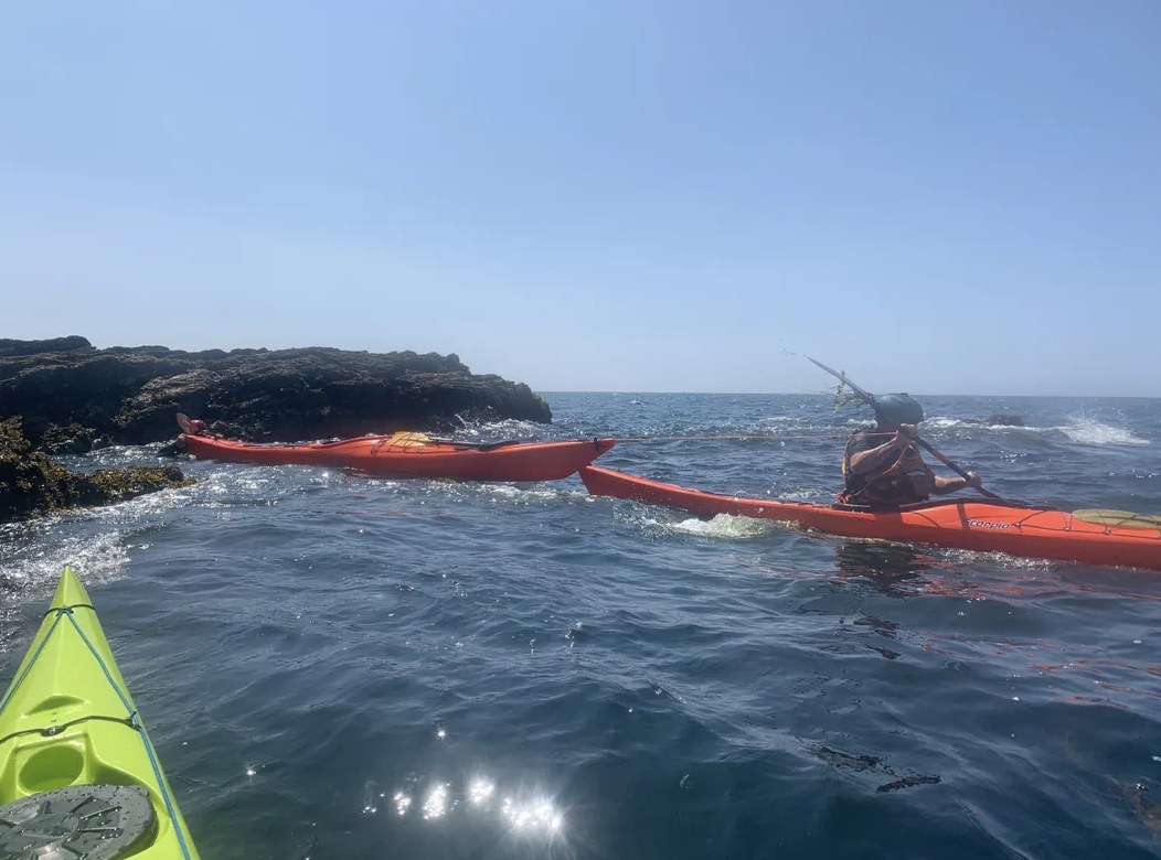 Sea Kayak Leader Development Week, photo 4