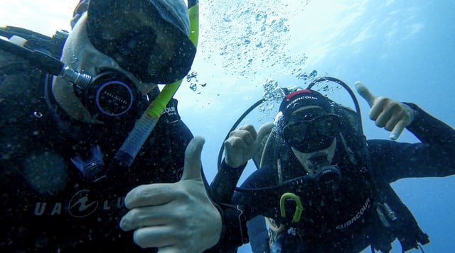 Divemaster PADI Course in Tenerife, listing photo