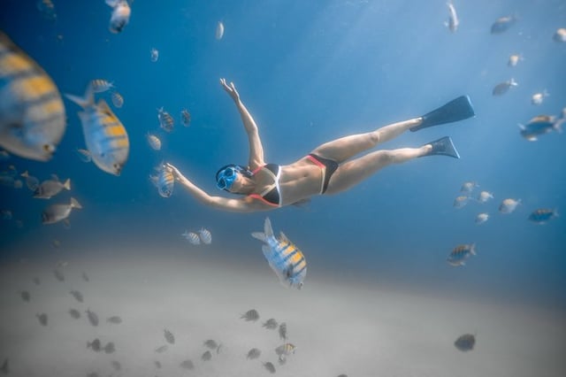Guided Snorkel at Santa Maria and Chileno Bay Los Cabos, listing photo