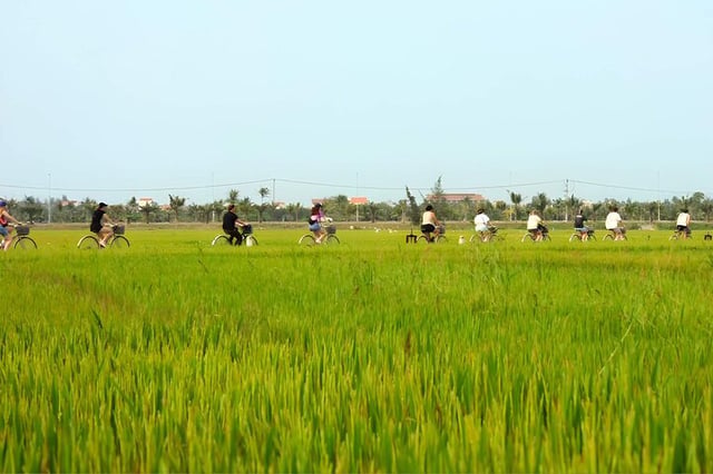 Hoi An Countryside Cycling from Da Nang, listing photo