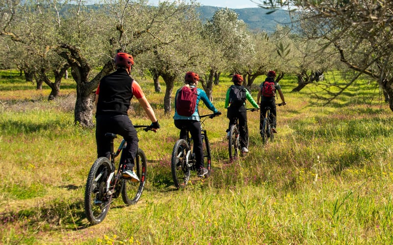 E-Bike Tour of Navarino Bay, photo 4