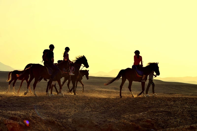 Horse Riding with Swimming Hurghada Tour, photo 4