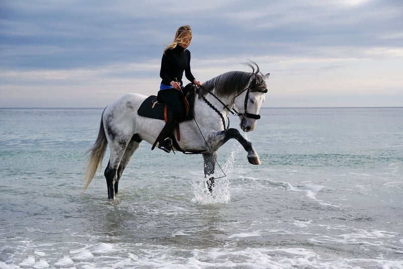 Horseback Riding Tour Marsa Alam, photo 3