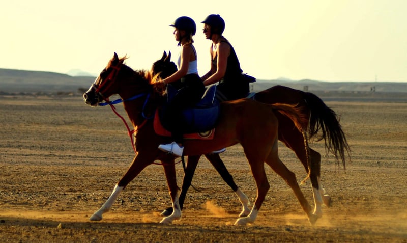 Horse Riding with Swimming Hurghada Tour, photo 2