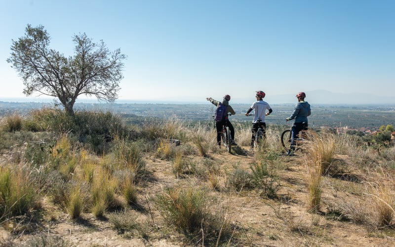 E-Bike Tour through the Kalamata Olive Groves, photo 5