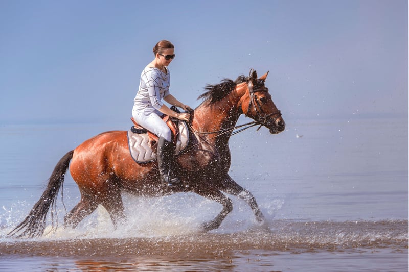 Horseback Riding Tour Marsa Alam, photo 4
