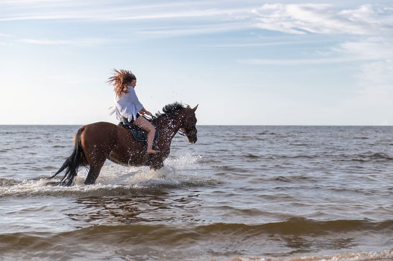 Horseback Riding Tour Marsa Alam, photo 2