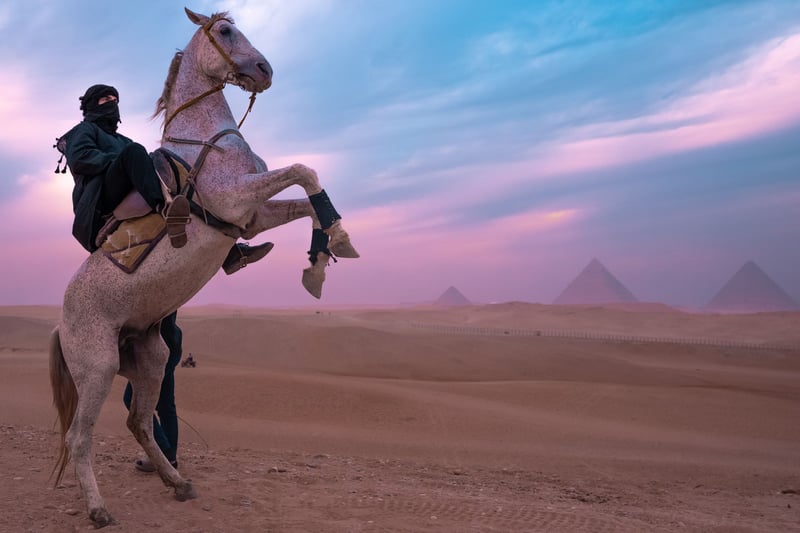 Horse Riding Pyramids Day Tour with Transfer Giza, photo 4