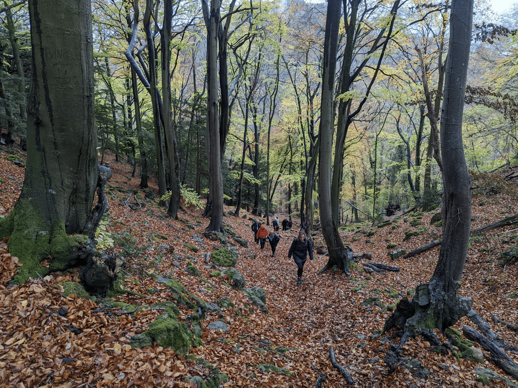 Private Guided Hike: King Arthur’s Wye Valley Wander, listing photo