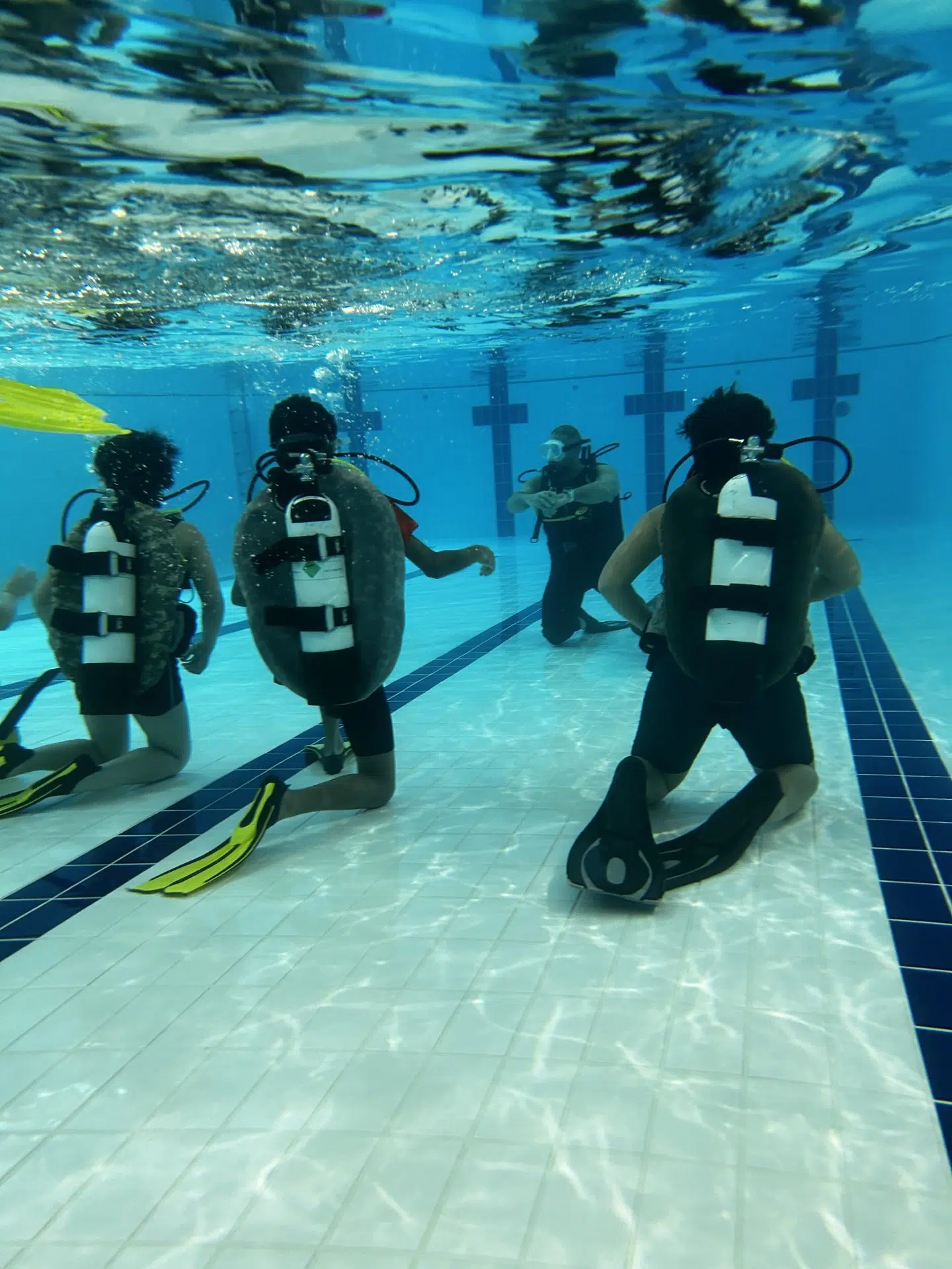 PADI Seal Team Part Two (8-12 years-old), listing photo
