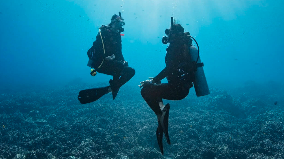 PADI Peak Performance Buoyancy Course, listing photo