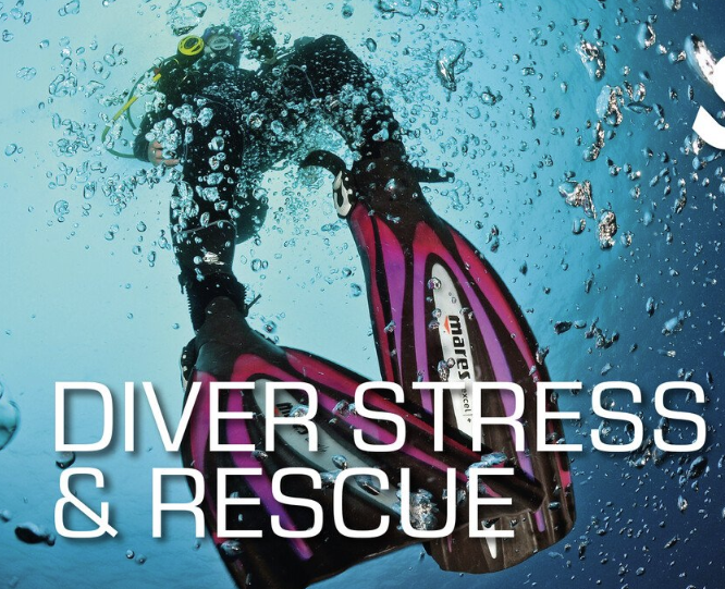 SSI Diver Stress & Rescue Course in Borehamwood, listing photo