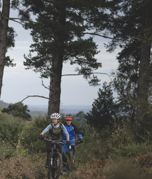 1-2-1 MTB Coaching – Surrey Hills, listing photo
