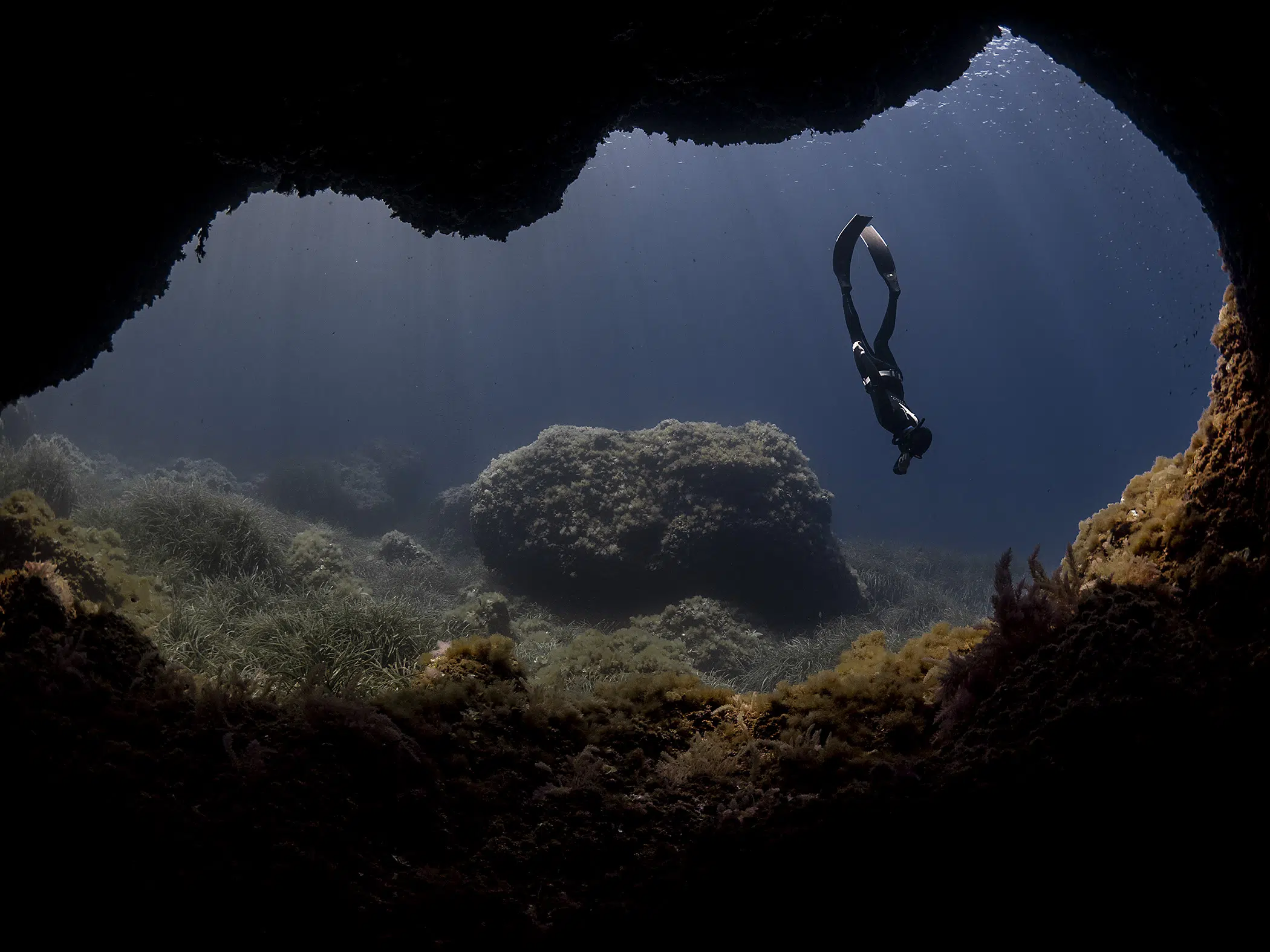 Online Freediving Consultation Session, listing photo