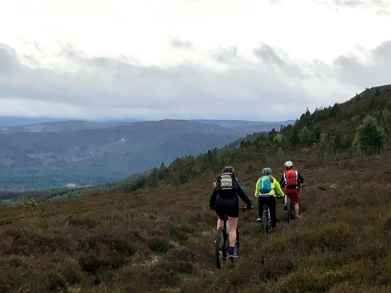 Big Mountain Adventures – MTB in Aberdeenshire, listing photo