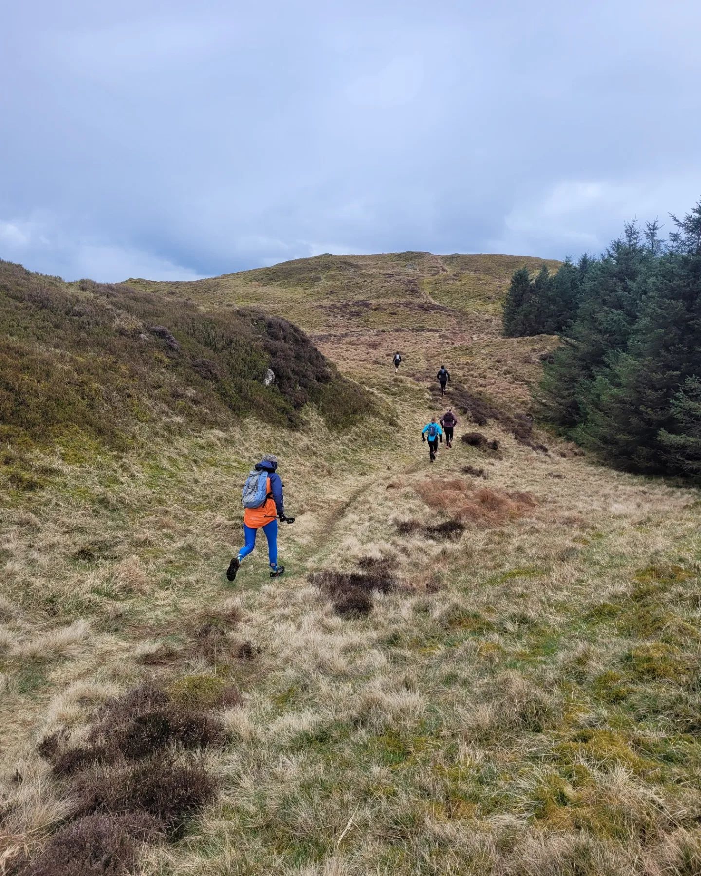 Guided Hikes and Trail Runs in the Lake District, listing photo