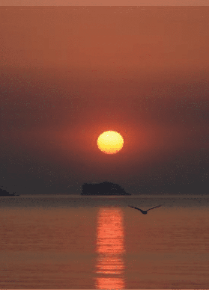 Sea Kayaking for the Mind in Torquay, listing photo