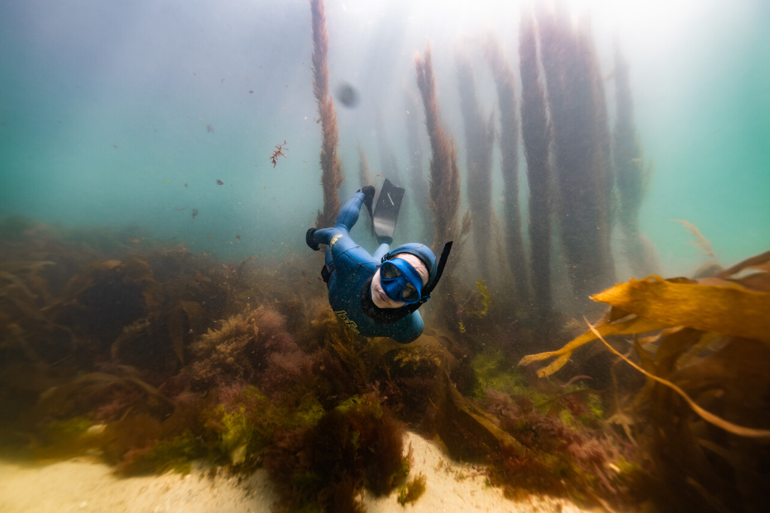 Try Dive – Introductory Freediving Course at Porthkerris Cove, listing photo