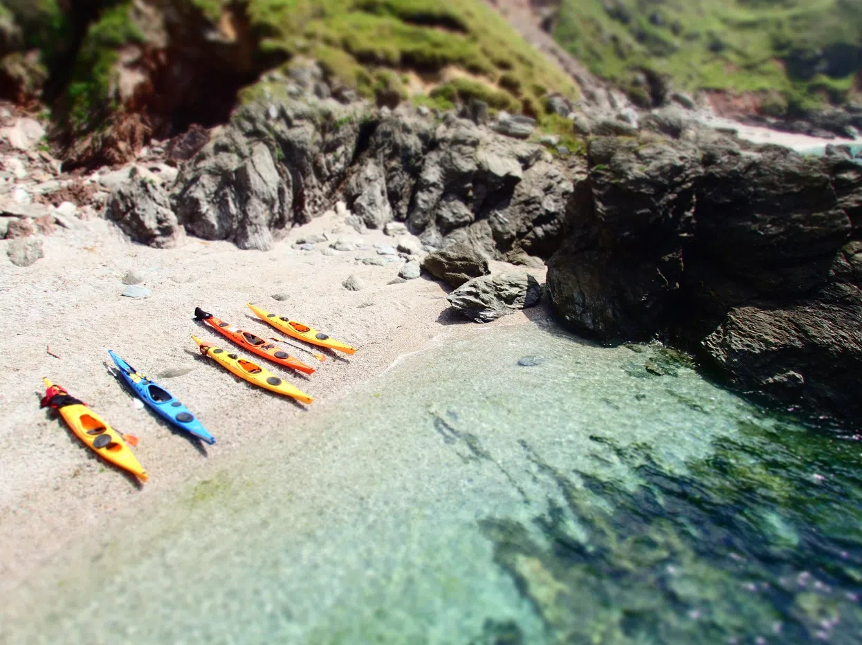 Sea Kayaking for Young Families (Half Day) in Dartmouth, listing photo