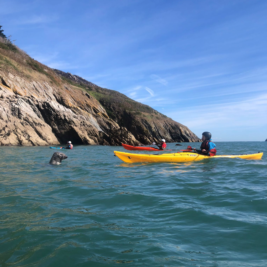 Sea Kayaking for Young Families (Full Day) in Dartmouth, listing photo