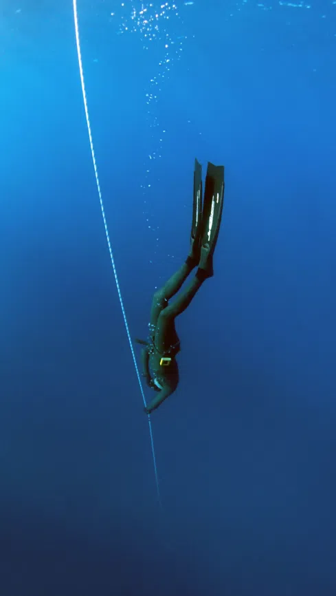 PADI Advanced Freediver Course, listing photo