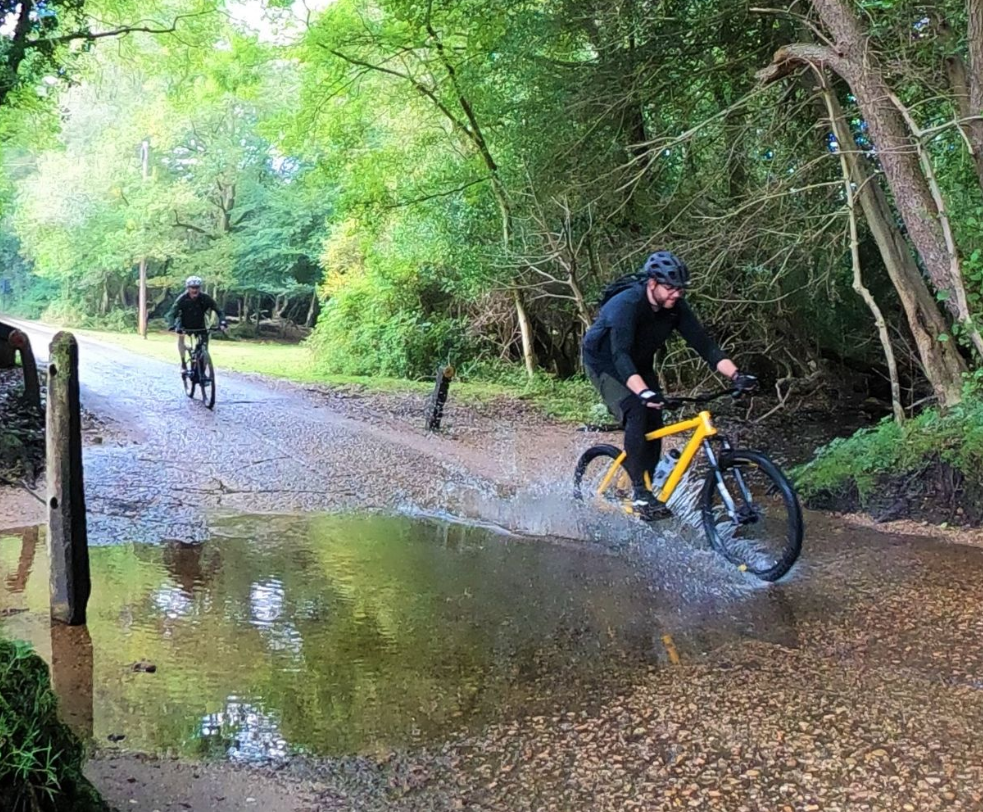 ‘The Roar of The Dragon’ Cycling Tour in the New Forest, listing photo