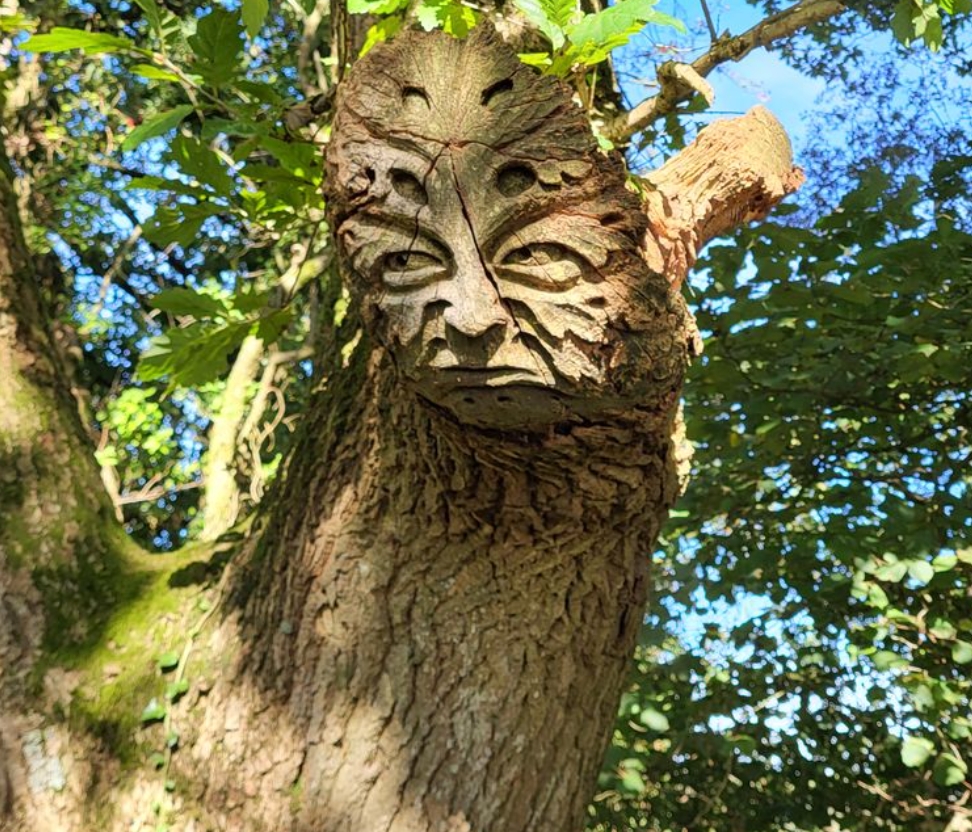 Green Man of Wiltshire Cycling Tour, listing photo