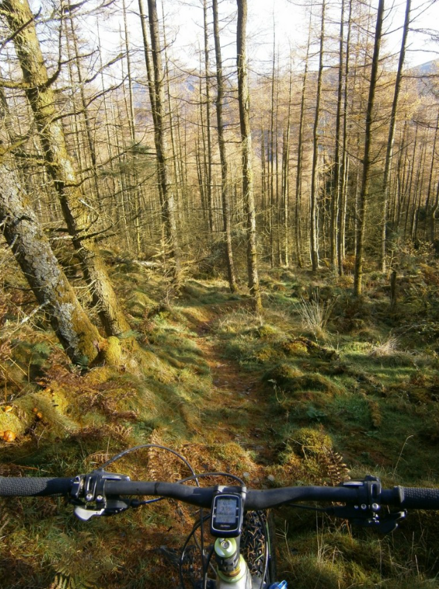 Guided Mountain Biking in North Wales, listing photo