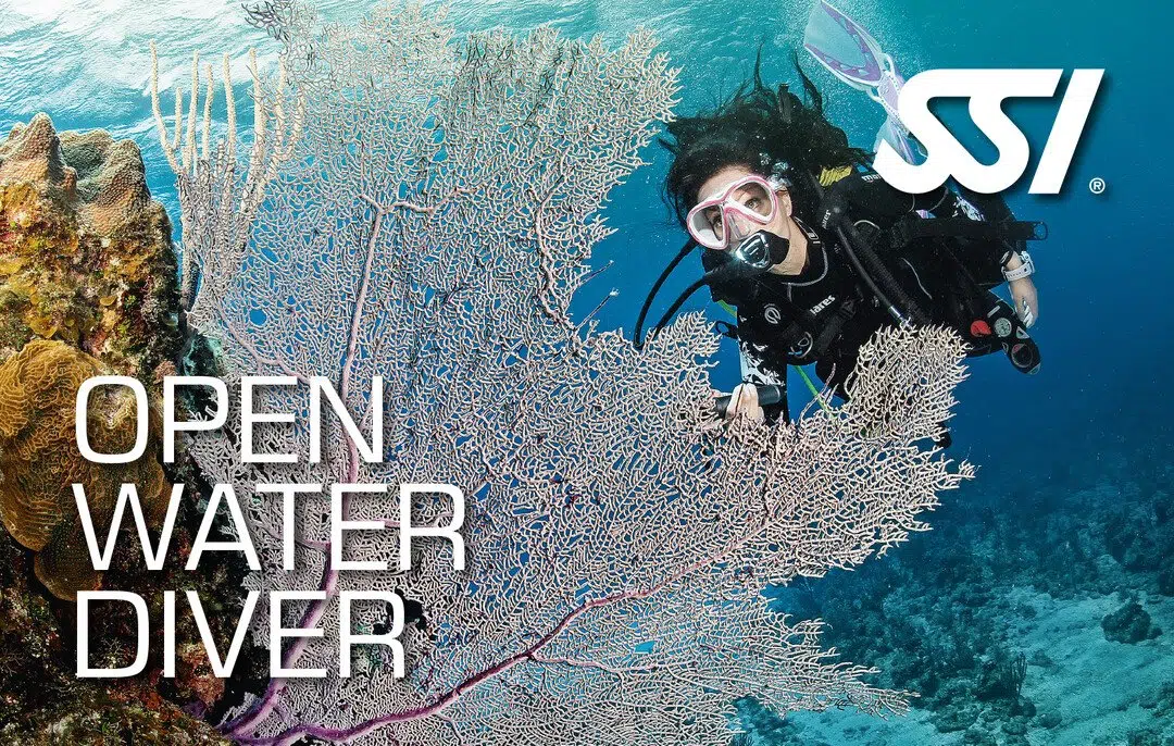 SSI Open Water Diver Course in Borehamwood, Hertfordshire, listing photo