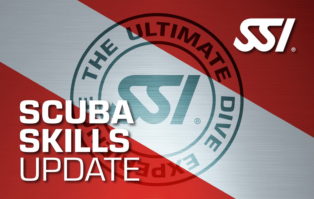 SSI Scuba Skills Update Course in Borehamwood, listing photo