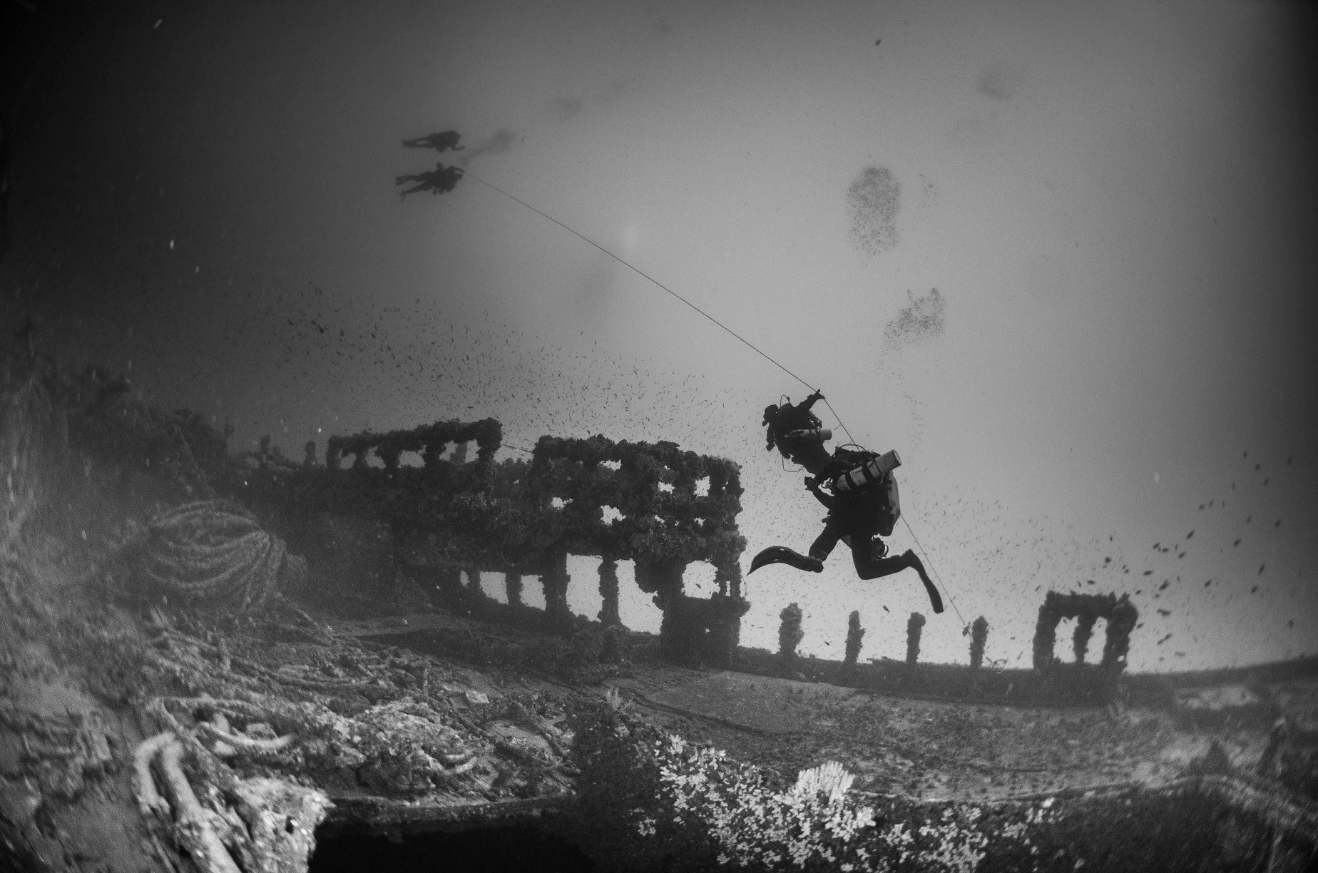 PSAI Closed Circuit Rebreather Up To 100m, listing photo