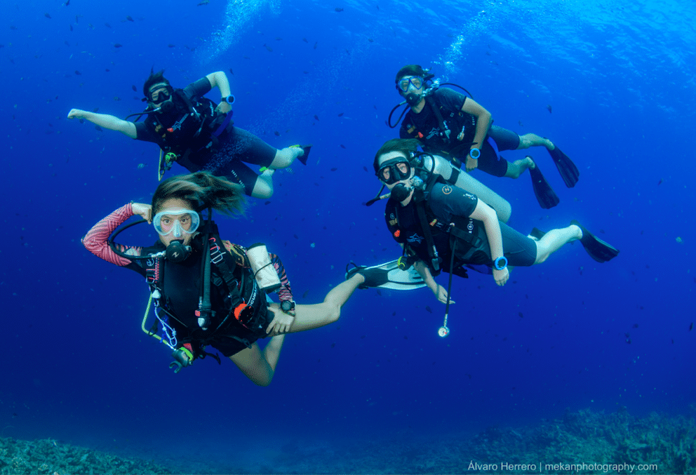 PADI Confined Open Water Course, listing photo