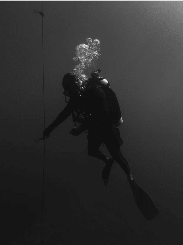 PADI Deep Diver, listing photo