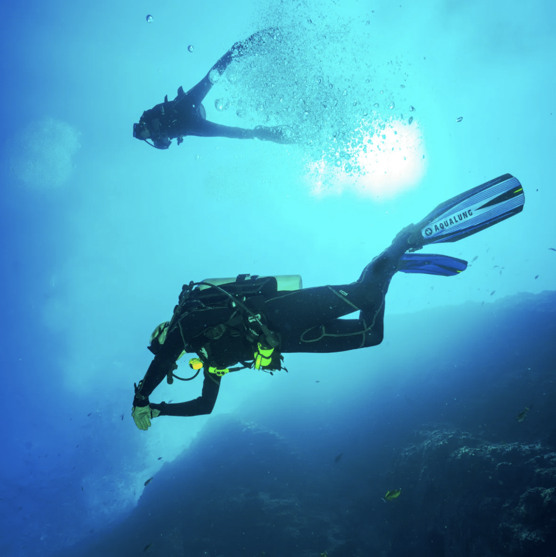 PADI Enriched Air (Nitrox) Diver, listing photo