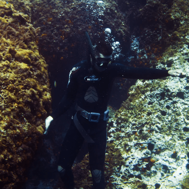 PADI Skin Diver Specialty Course, listing photo