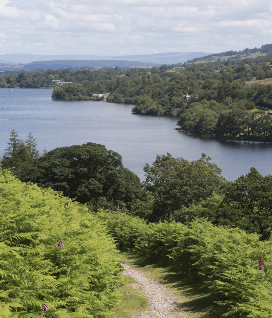 E-Bike Tour with Traditional Pub Lunch in the Lake District, listing photo