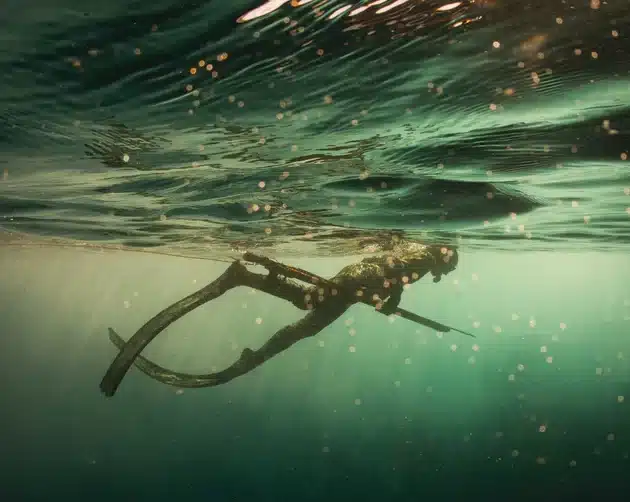 2-Day Spearfishing Course in Cornwall, listing photo