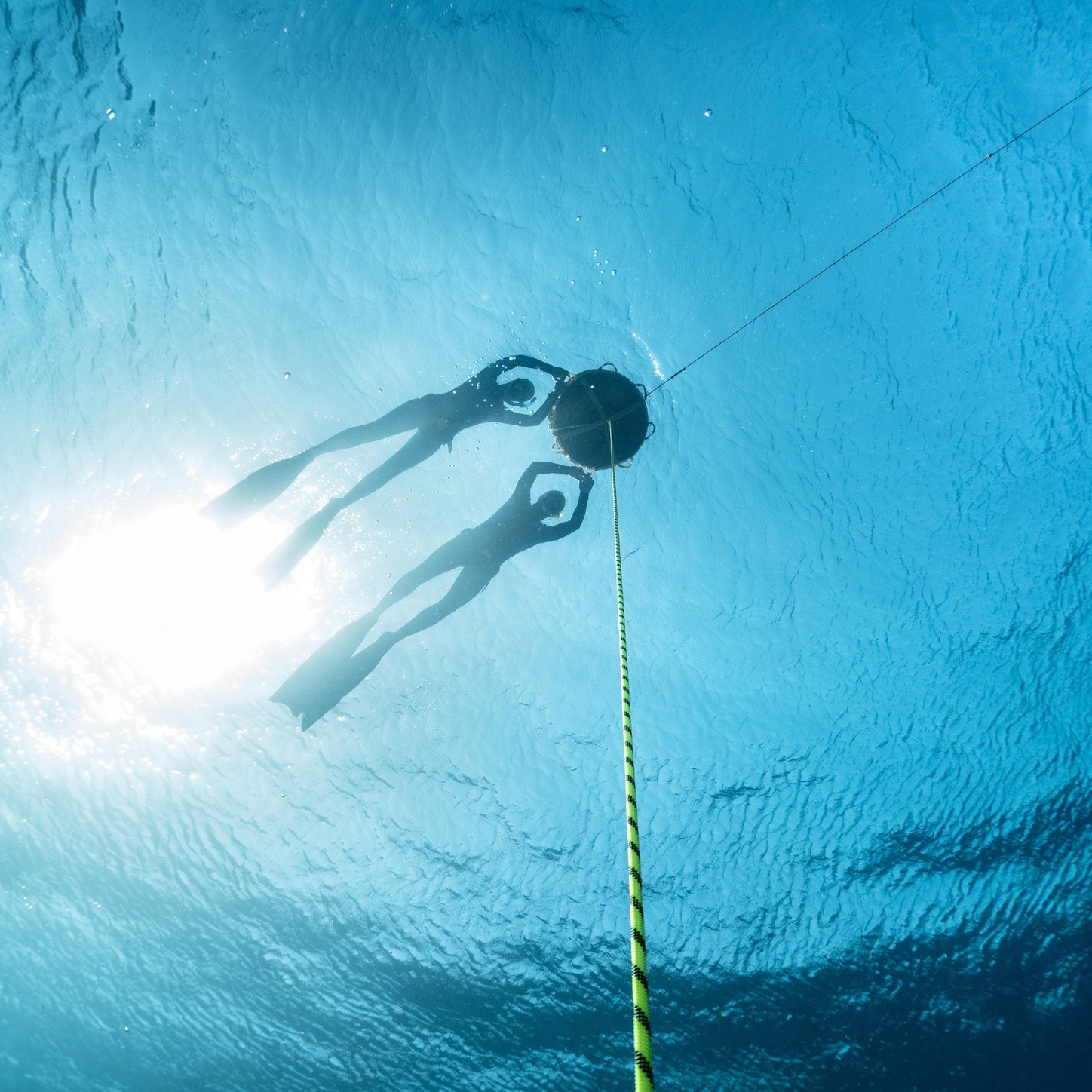 SSI Freediver Level 1 Course, listing photo