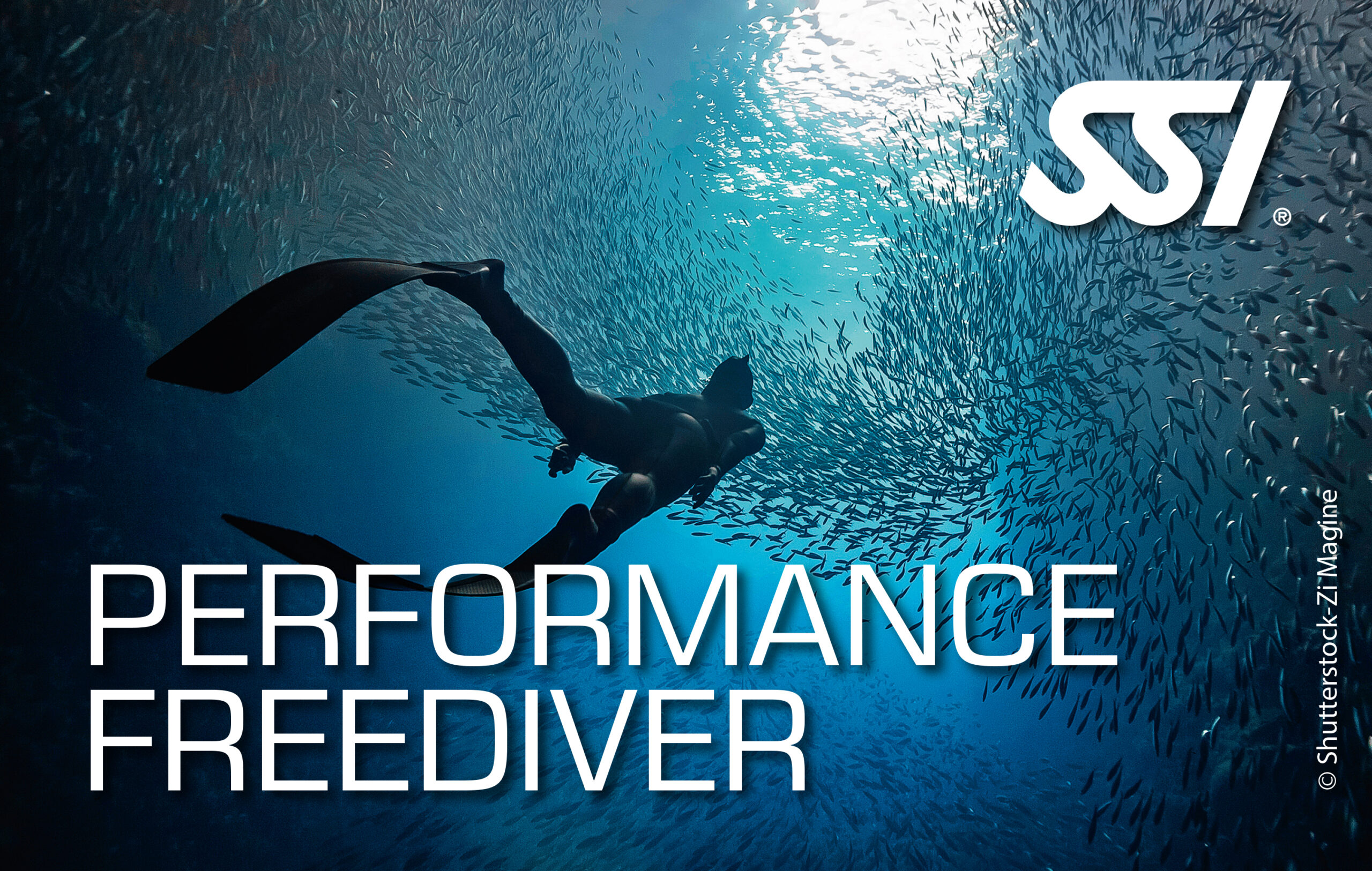 SSI Performance Freediver Course (Level 3), listing photo